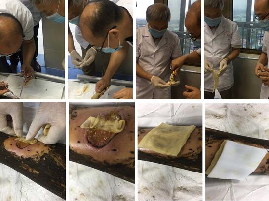 J9集团|国际站官网