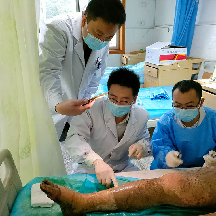 J9集团|国际站官网