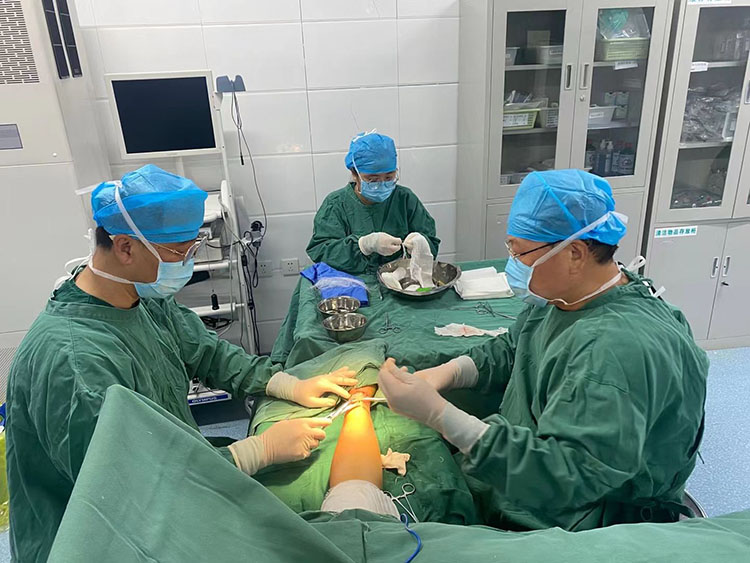 J9集团|国际站官网