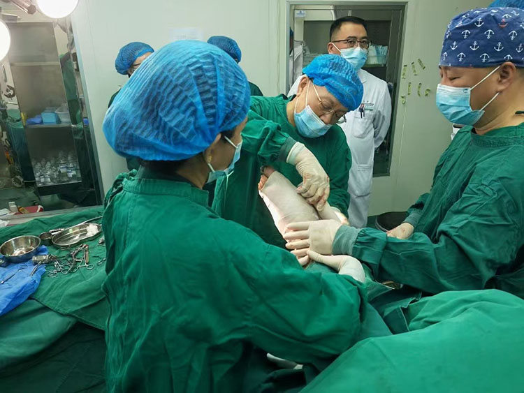 J9集团|国际站官网