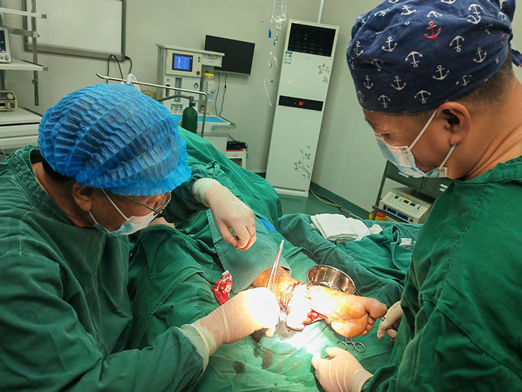 J9集团|国际站官网