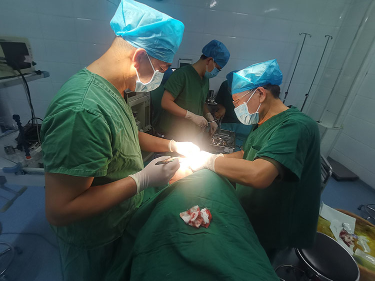 J9集团|国际站官网