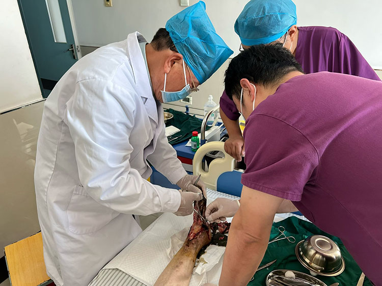 J9集团|国际站官网